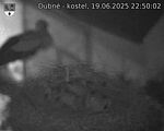 Capi_Dubne_20250619_225002.jpg