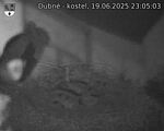 Capi_Dubne_20250619_230503.jpg
