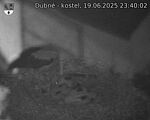 Capi_Dubne_20250619_234002.jpg