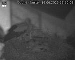 Capi_Dubne_20250619_235003.jpg