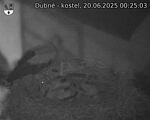 Capi_Dubne_20250620_002503.jpg