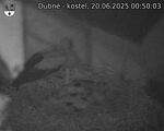 Capi_Dubne_20250620_005003.jpg