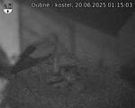 Capi_Dubne_20250620_011503.jpg