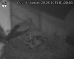 Capi_Dubne_20250620_012003.jpg
