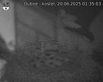 Capi_Dubne_20250620_013503.jpg