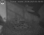 Capi_Dubne_20250620_015003.jpg