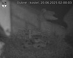 Capi_Dubne_20250620_020003.jpg