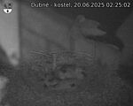 Capi_Dubne_20250620_022502.jpg