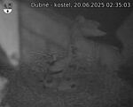 Capi_Dubne_20250620_023503.jpg