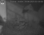 Capi_Dubne_20250620_031002.jpg