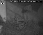 Capi_Dubne_20250620_031502.jpg