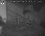 Capi_Dubne_20250620_032002.jpg
