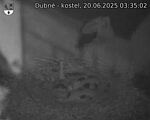 Capi_Dubne_20250620_033502.jpg