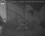 Capi_Dubne_20250620_034502.jpg