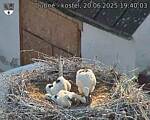 Capi_Dubne_20250620_194003.jpg