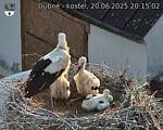 Capi_Dubne_20250620_201502.jpg