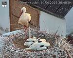 Capi_Dubne_20250620_204004.jpg