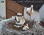 Capi_Dubne_20250620_211002.jpg