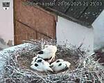 Capi_Dubne_20250620_212503.jpg
