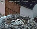 Capi_Dubne_20250620_213002.jpg