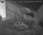 Capi_Dubne_20250620_220003.jpg