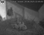 Capi_Dubne_20250620_220503.jpg
