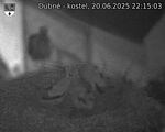 Capi_Dubne_20250620_221503.jpg