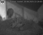 Capi_Dubne_20250620_222003.jpg