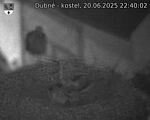 Capi_Dubne_20250620_224002.jpg
