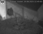 Capi_Dubne_20250620_224503.jpg
