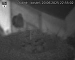 Capi_Dubne_20250620_225502.jpg