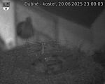Capi_Dubne_20250620_230003.jpg