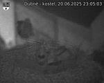 Capi_Dubne_20250620_230503.jpg