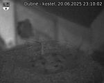 Capi_Dubne_20250620_231002.jpg