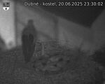 Capi_Dubne_20250620_233002.jpg