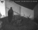 Capi_Dubne_20250620_233502.jpg