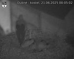 Capi_Dubne_20250621_000502.jpg