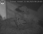 Capi_Dubne_20250621_002003.jpg