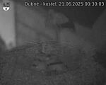 Capi_Dubne_20250621_003003.jpg