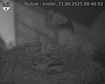 Capi_Dubne_20250621_004002.jpg