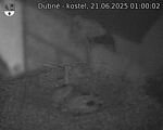 Capi_Dubne_20250621_010002.jpg