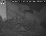 Capi_Dubne_20250621_010502.jpg