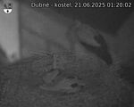 Capi_Dubne_20250621_012002.jpg