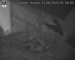 Capi_Dubne_20250621_015003.jpg