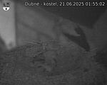 Capi_Dubne_20250621_015502.jpg