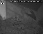 Capi_Dubne_20250621_020003.jpg