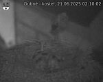 Capi_Dubne_20250621_021002.jpg