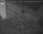 Capi_Dubne_20250621_022003.jpg