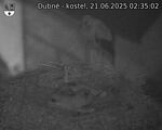 Capi_Dubne_20250621_023502.jpg