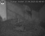 Capi_Dubne_20250621_024003.jpg